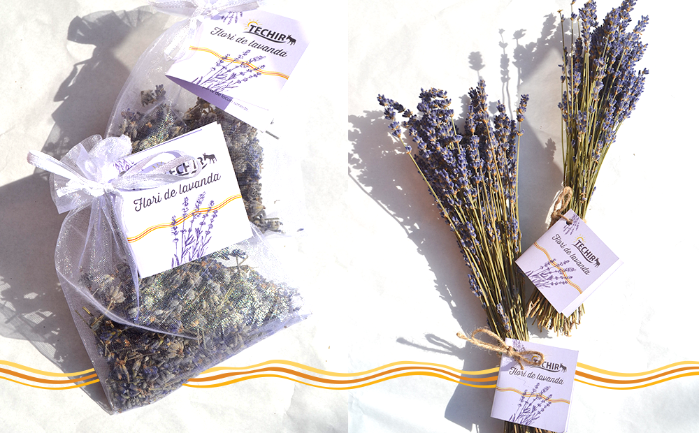 You are currently viewing LAVANDA – UN INGREDIENT MIRACULOS