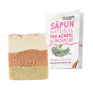 SAPUN NATURAL PENTRU TEN ACNEIC SI INCARCAT CU NAMOL, ARGILE SI TEA TREE