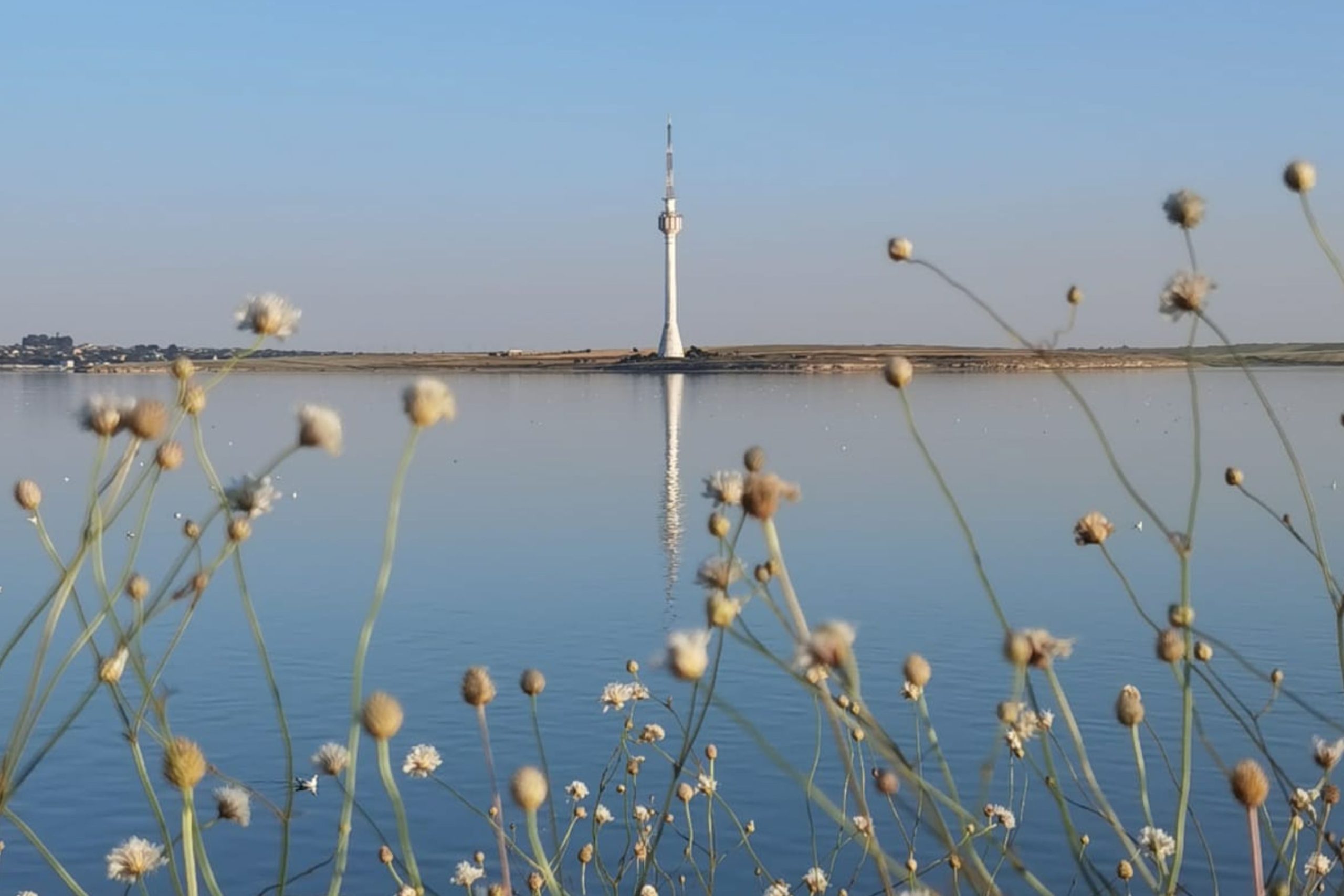 You are currently viewing Biodiversitatea Lacului Techirghiol: un ecosistem sărat plin de viață