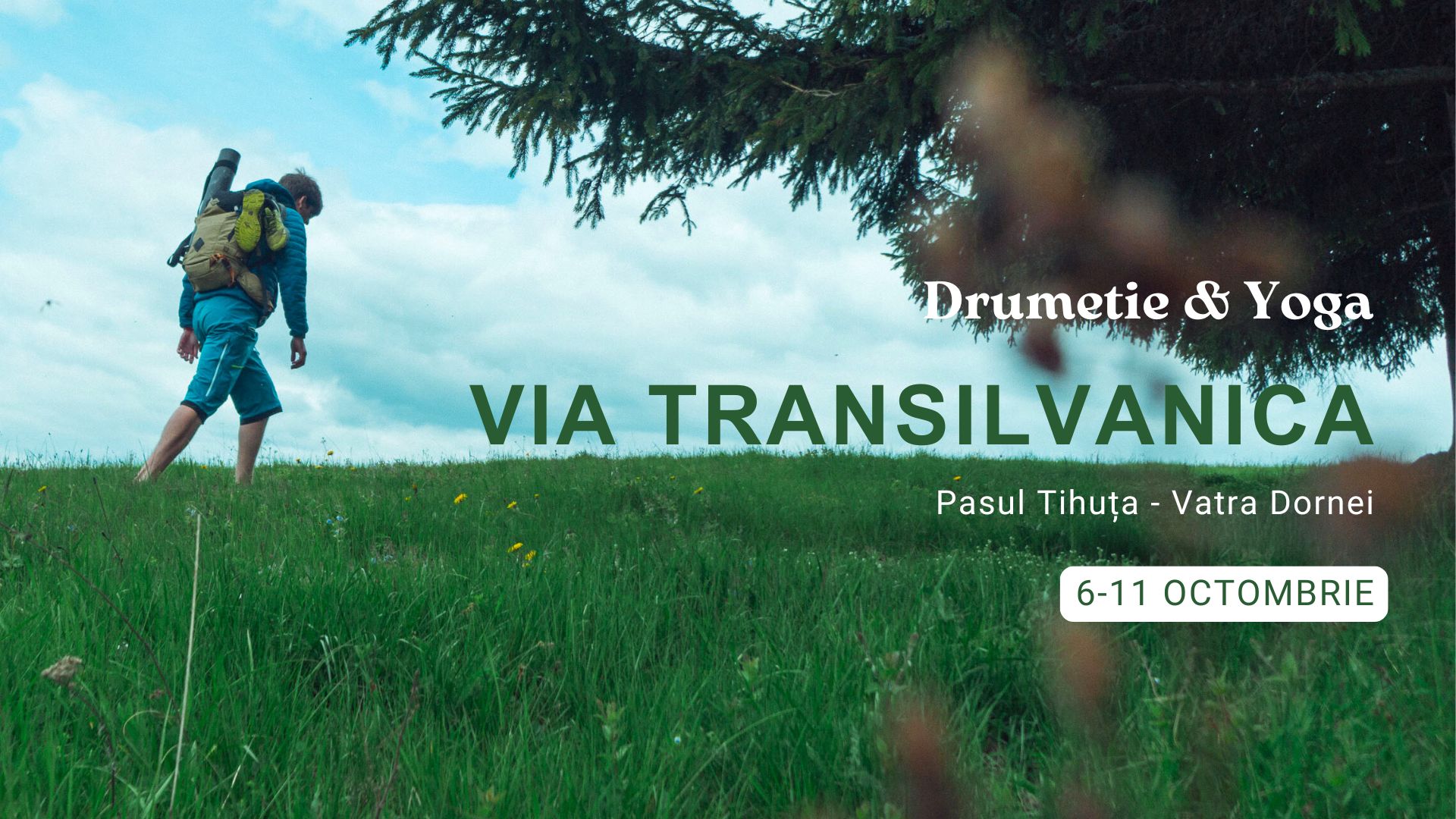 You are currently viewing Drumeție cu sens: yoga, meditație și stare de bine pe Via Transilvanica, 5-11 octombrie