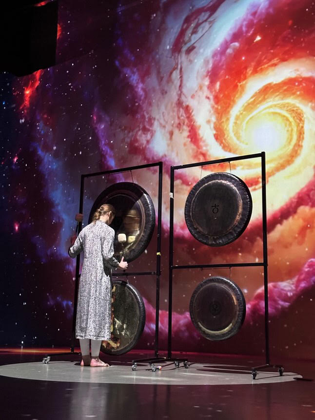 Diana Stefan folosind gongul