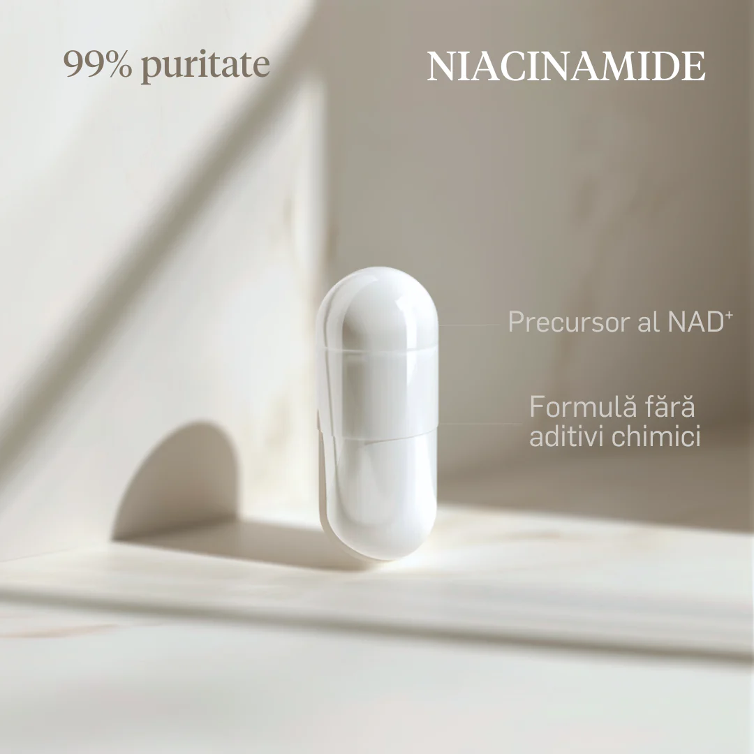 Copy_of_Niacinamide_500mg_0ec47ccb-fd11-4367-a649-25095e66f61c.png