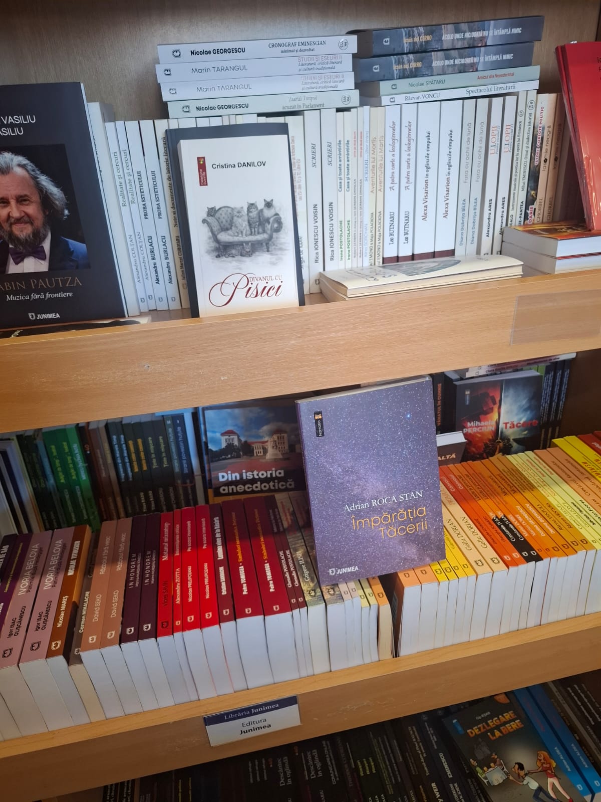 Carte „Împărăția tăcerii” de Adrian Roca Stan - imagine 2